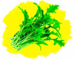 Капуста японская