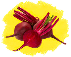 Свекла столовая