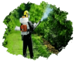 Средства от болезней растений