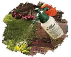 Средства от сорняков