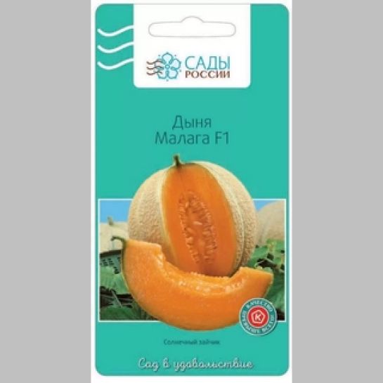 Дыня Малага F1