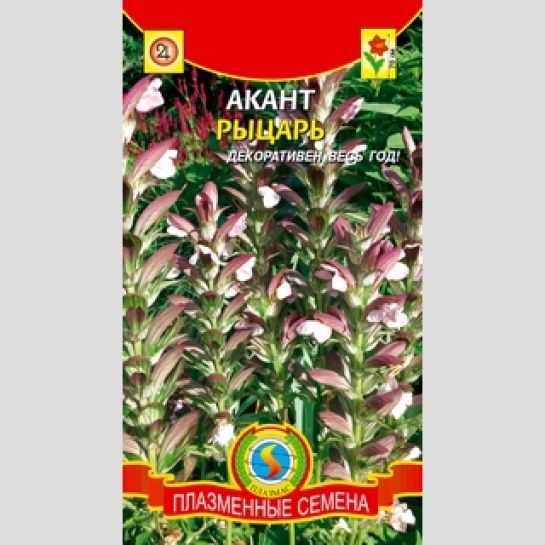 Акант Рыцарь