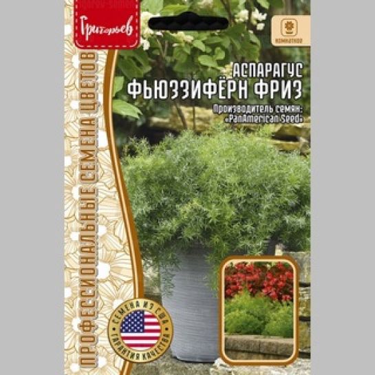 Аспарагус Фьюззифёрн Фриз (FuzzyFern Frizz) (большой пакет)