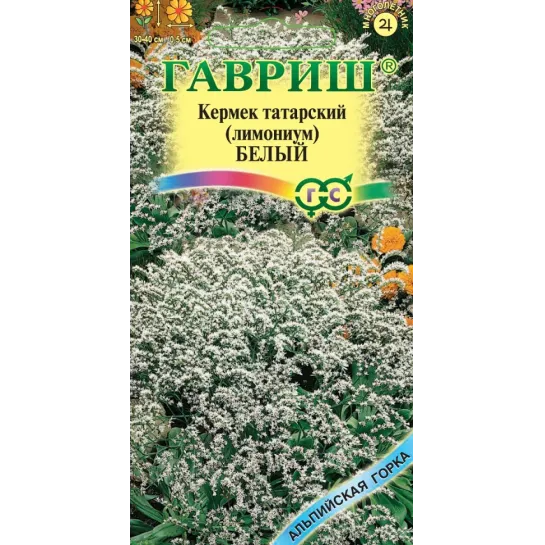 Кермек Белый татарский (Лимониум)