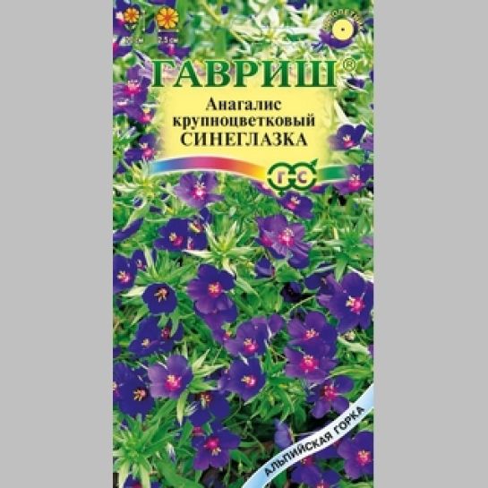 Очноцвет Синеглазка (Анагаллис)