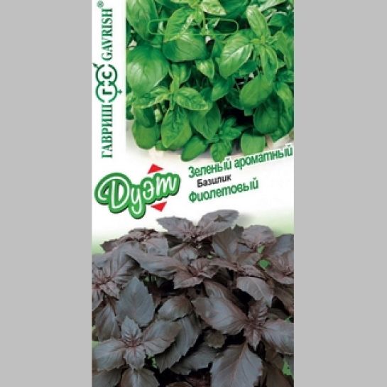 Дуэт Базилик Фиолетовый +Зеленый ароматный