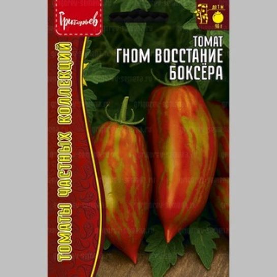 Томат Гном Восстание Боксёра (Dwarf Boxer Rebellion) (большой пакет)