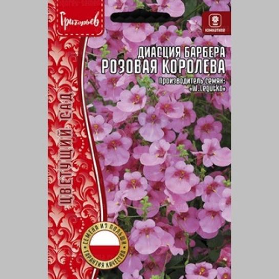 Диасция Розовая Королева Барбера (большой пакет)