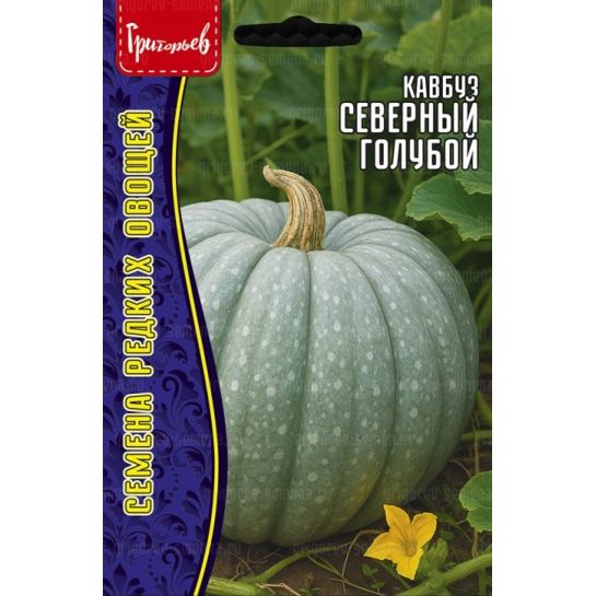 Кавбуз Северный Голубой (большой пакет)