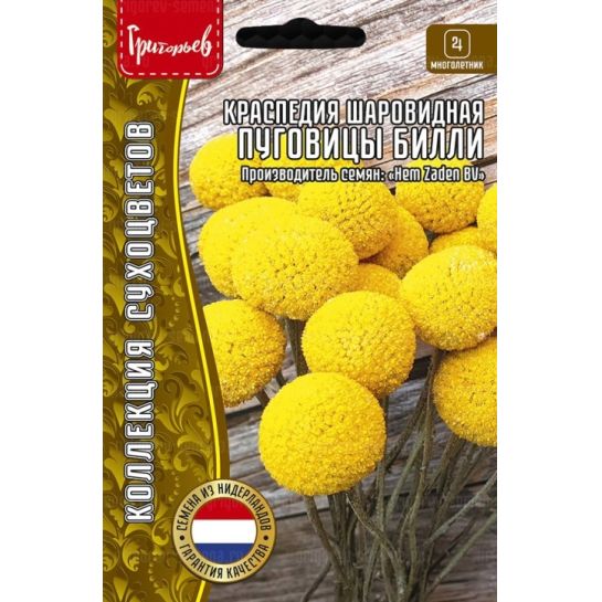 Краспедия Пуговицы Билли шаровидная (Billy Button) (большой пакет)