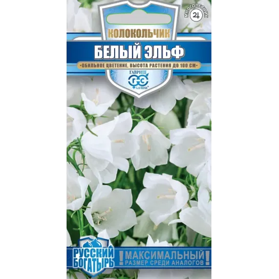 Колокольчик Белый Эльф (персиколистный)