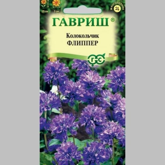 Колокольчик Флиппер (скученный)