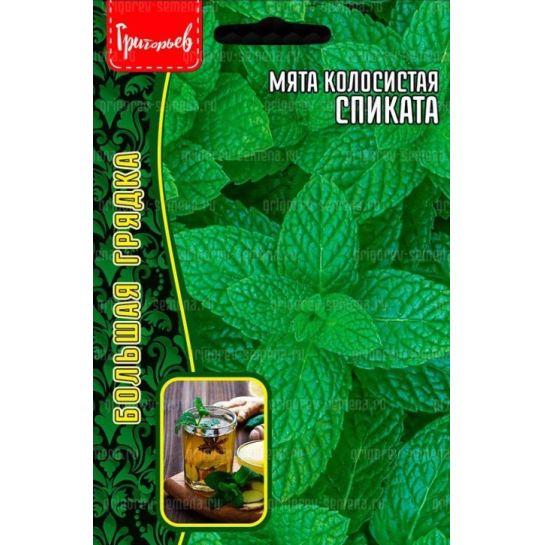 Мята Спиката колосистая (большой пакет)