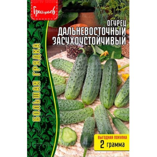 Огурец Дальневосточный Засухоустойчивый (большой пакет)