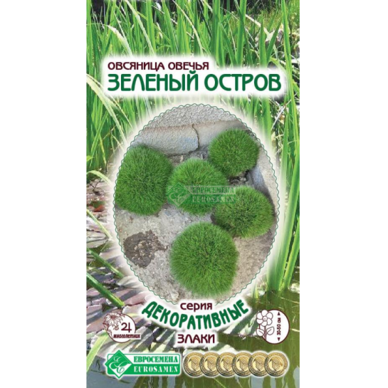 Овсяница Зеленый остров (овечья)