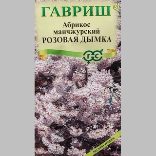 Абрикос Розовая дымка (манчжурский) - Семена Тут
