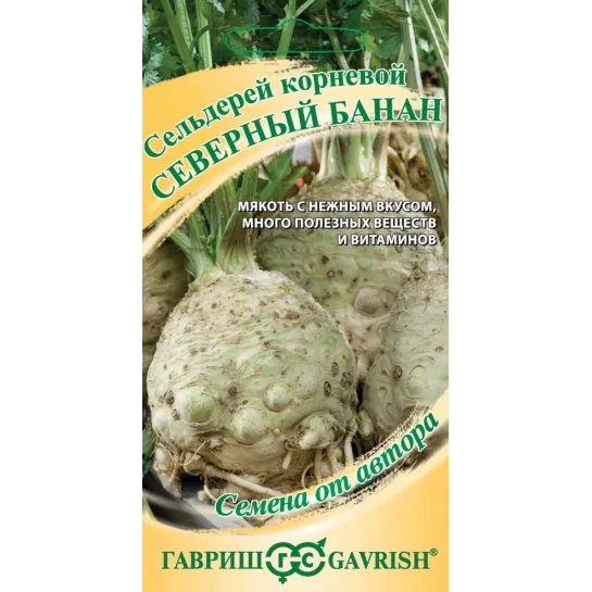 Сельдерей Северный банан