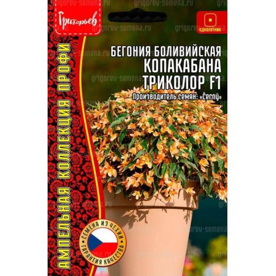 Бегония Копакабана Триколор F1 боливийская ампельная (большой пакет)