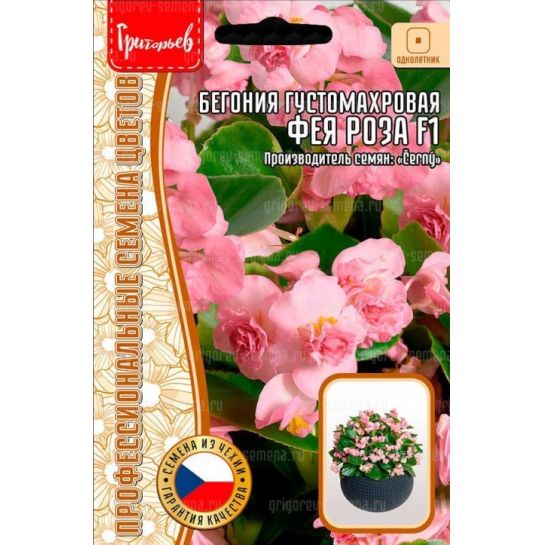 Бегония Фея Роза F1 густомахровая (большой пакет)