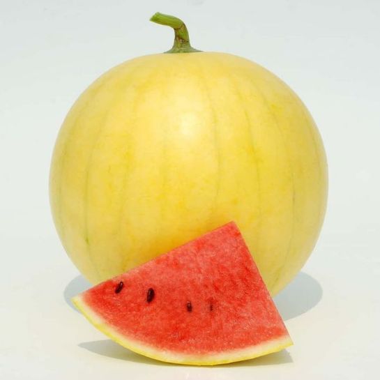 Арбуз Красное Золото F1