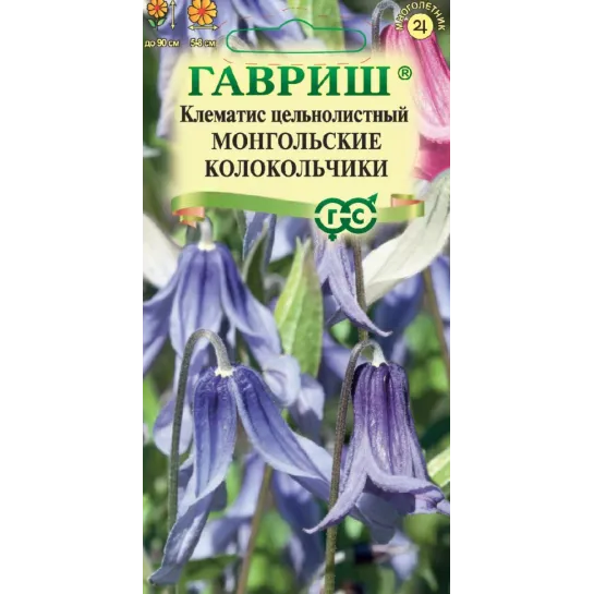 Клематис Монгольские колокольчики (цельнолистный)