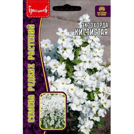 Экзохорда кистистая (струнноплодник) (большой пакет)