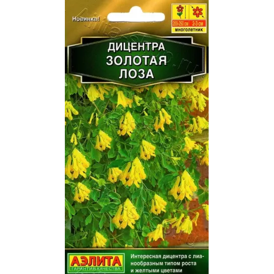 Дицентра Золотая лоза