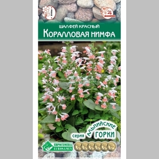 Шалфей Колибри Коралловая нимфа (красный) - Семена Тут