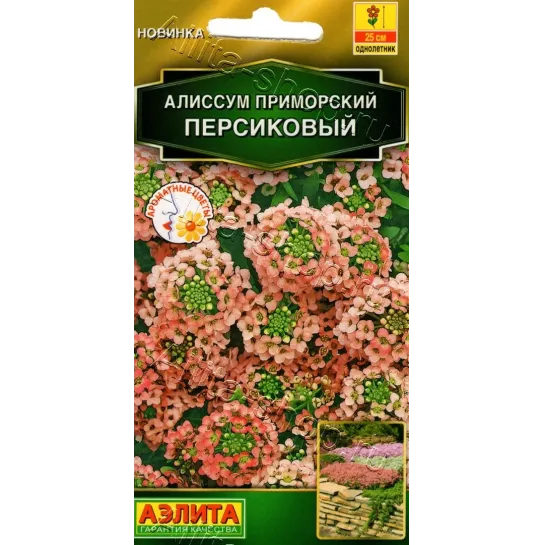 Алиссум Персиковый приморский
