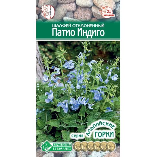 Шалфей Патио Индиго (отклоненный)