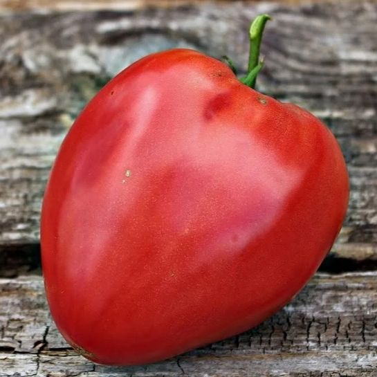 Томат Король Гномов (большой пакет)