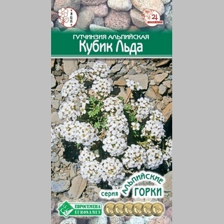 Гутчинзия Кубик льда (альпийская) - Семена Тут