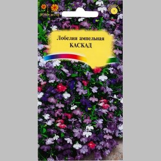 Лобелия Каскад смесь - Семена Тут