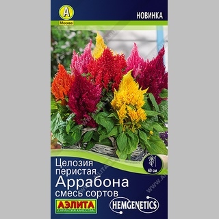 Целозия Аррабона смесь (перистая) - Семена Тут