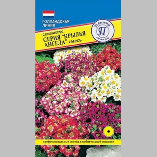 Схизантус Крылья ангела Смесь