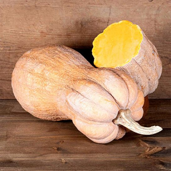 Тыква Виолина