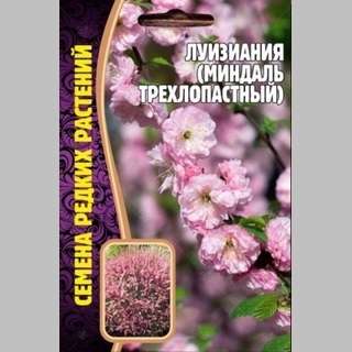 Луизиания Миндаль трехлопастный (большой пакет) - Семена Тут