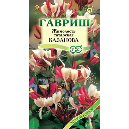 Жимолость Казанова (татарская)