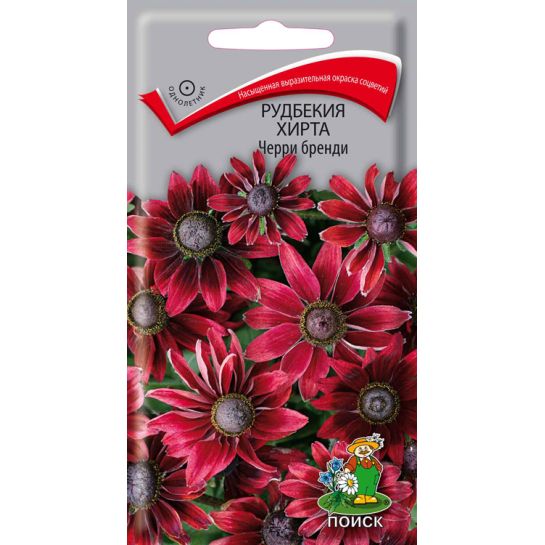 Рудбекия Черри Бренди