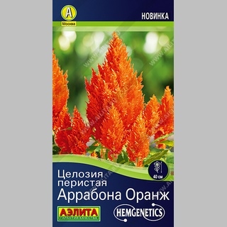 Целозия Аррабона Оранж (перистая) - Семена Тут
