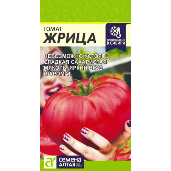 Томат Жрица