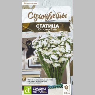 Статица Хипстер Вайт - Семена Тут