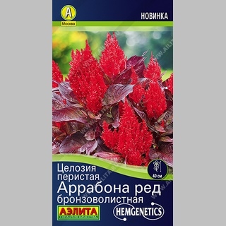 Целозия Аррабона Ред бронзоволистная (перистая) - Семена Тут
