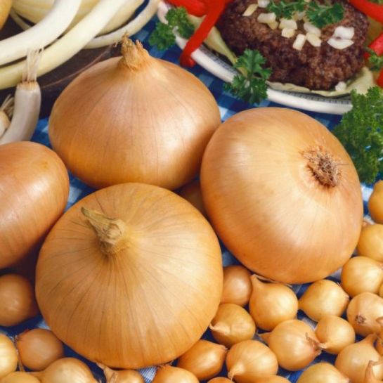 Лук севок Мячковский 300, 21-24 мм, 1000 гр