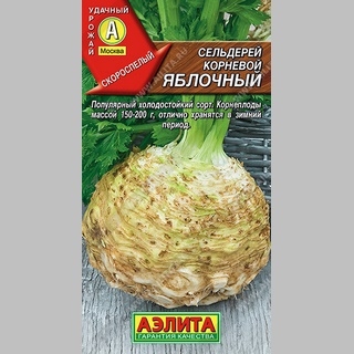 Сельдерей Яблочный (корневой) - Семена Тут