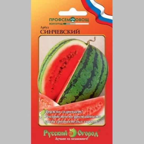 Арбуз Синчевский