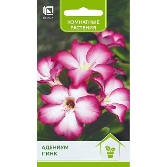 Адениум Пинк
