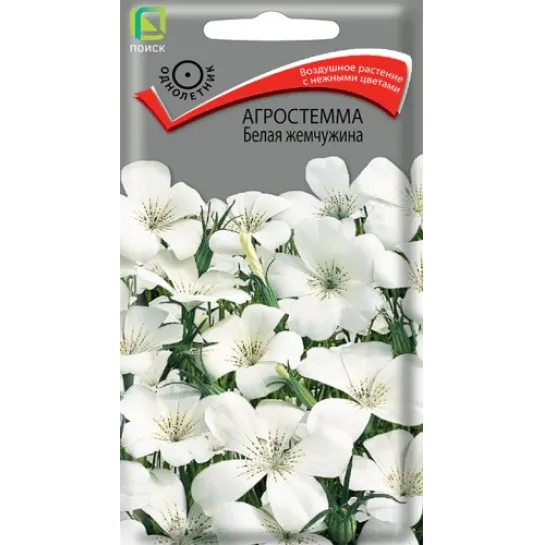 Агростемма Белая жемчужина