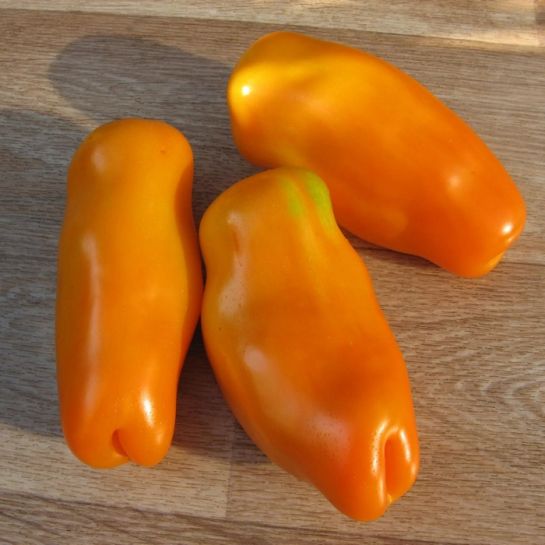 Томат Аурия Оранжевая (большой пакет)