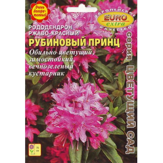 Рододендрон Рубиновый принц (Большой пакет)